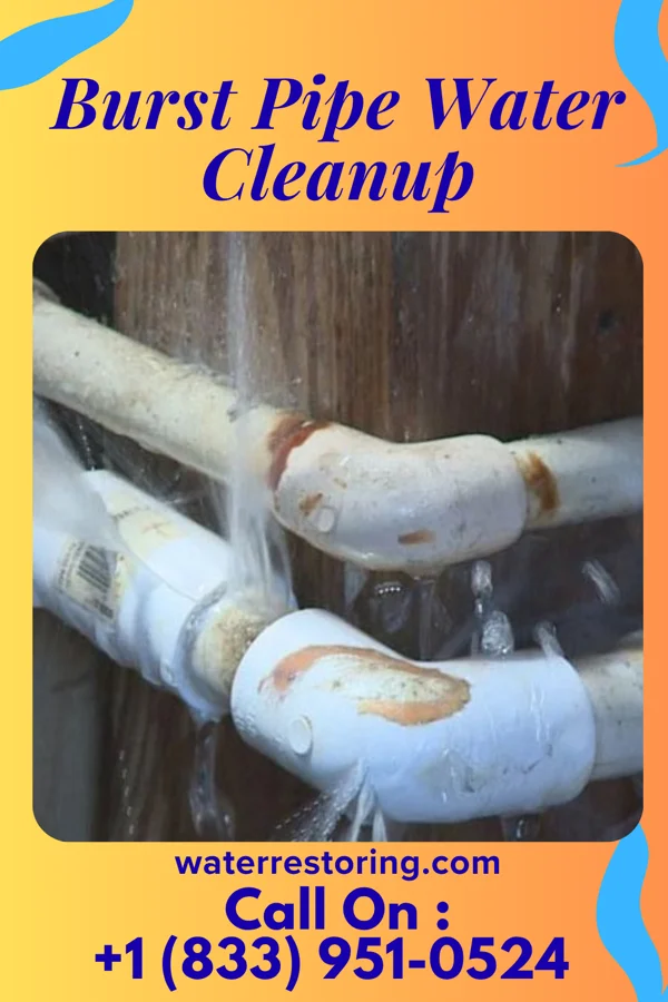 Burst Pipe Water Cleanup in Moreland Hills, OH