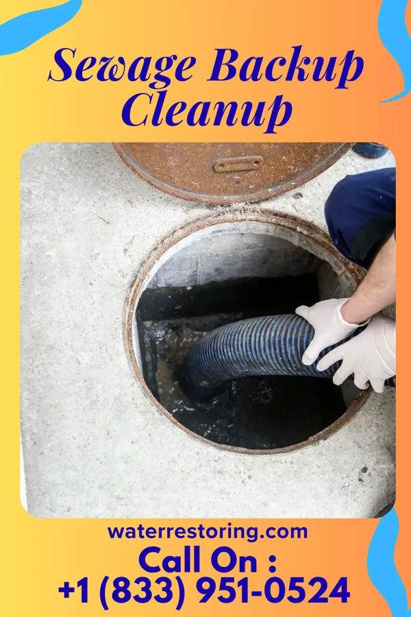 Sewage Backup Cleanup in Moreland Hills, OH