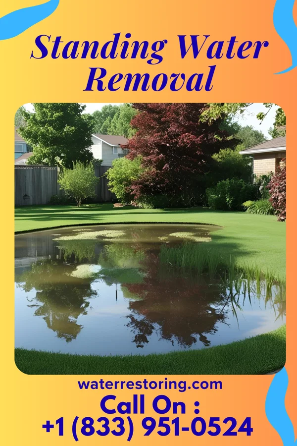 Standing Water Removal in Moreland Hills, OH